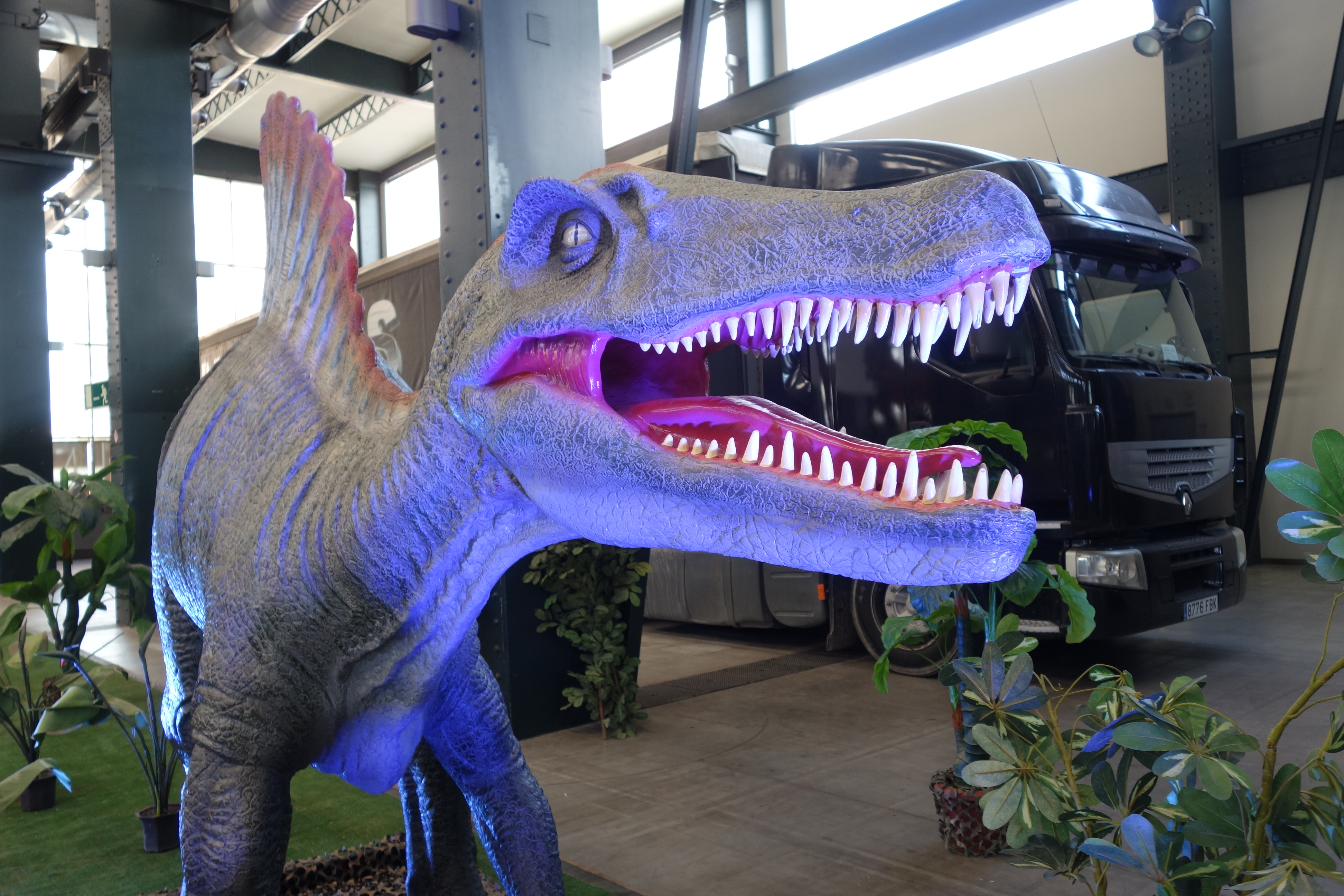 Dinosaure blau | Helena Molist
