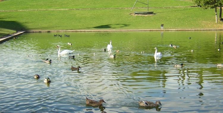 Imatge del Parc Catalunya de Sabadell