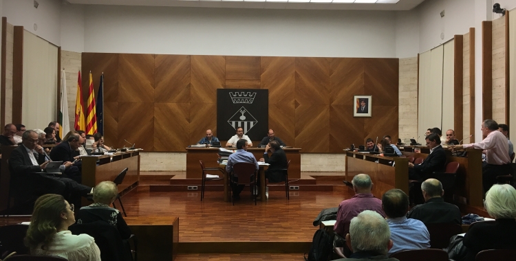 El ple de la setmana que ve haurà d'aprovar el reglament | Arxiu
