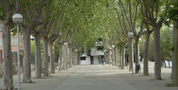 Passeig de Cal Jepó a Hostafrancs. Foto: Ràdio Sabadell