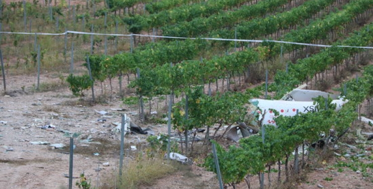 L'avioneta s'havia enlairat a l'aeroport de la ciutat i s'ha estavellat al Baix Penedès | ACN