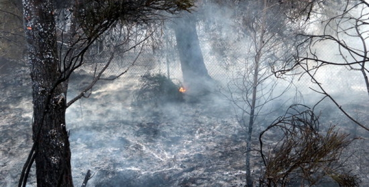 Un incendi forestal/ ACN