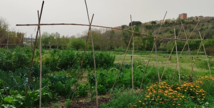 Oberta la convocatòria de l'Horta d'En Romau