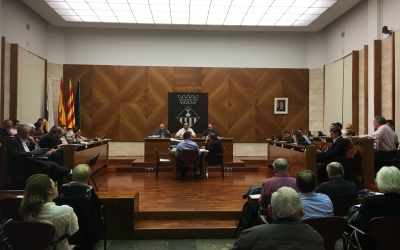 El ple de la setmana que ve haurà d'aprovar el reglament | Arxiu