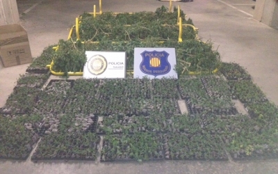 Alguns dels elements intervinguts | Policia Sabadell