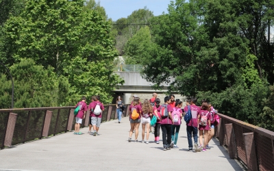 Un grup dels alumnes participants al Campus de la UAB | FAS