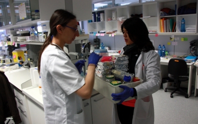 La bretxa salarial és present en totes les professions, segons la consultoria MIT/ Cedida