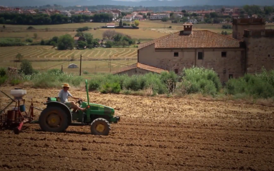 Fotograma del documental 'Flor i tavella' | Youtube