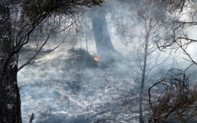 Les pluges dels últims dies han reduït el risc d'incendis als Boscos del Vallès