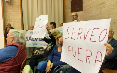 Treballadores de Serveo al ple municipal